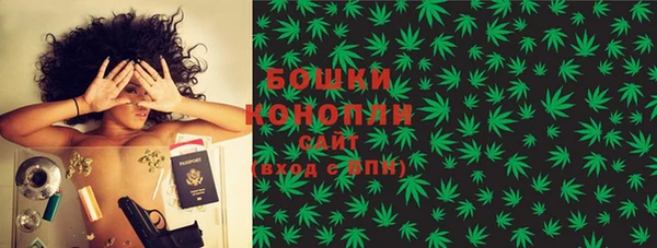 ECSTASY Елизово