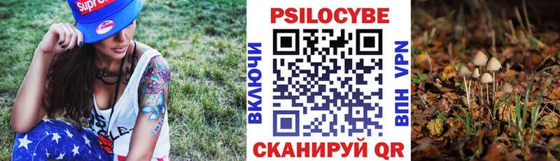 Галлюциногенные грибы мицелий  Купить где  Покровск 